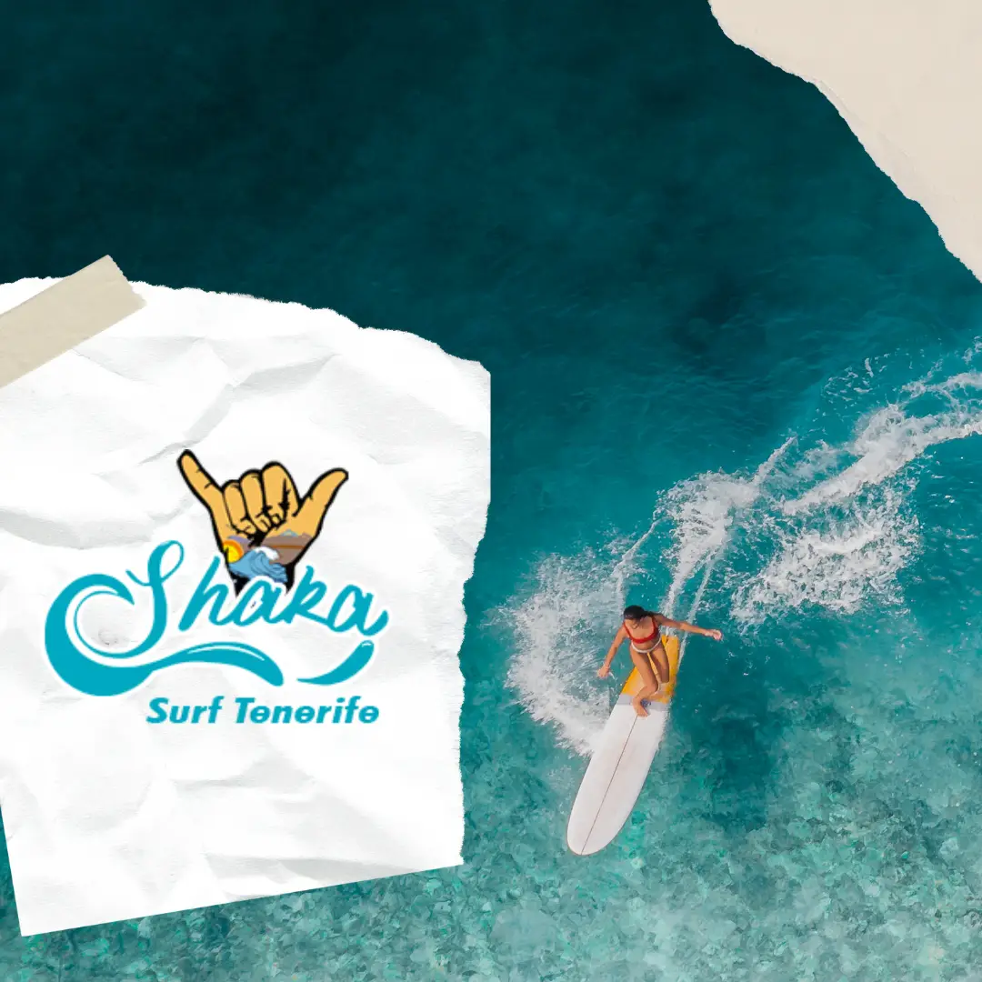 Post Instagram Clases de Surf Moderno Colorido